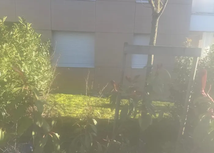 Inside דירה פרני וולטר